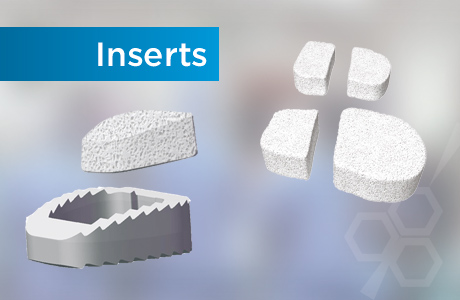 Inserts - MBCP® Synthetic Bone Graft Substitute
